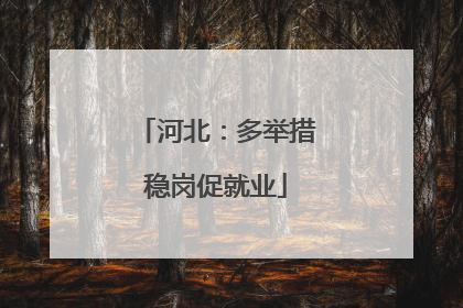 河北：多举措稳岗促就业