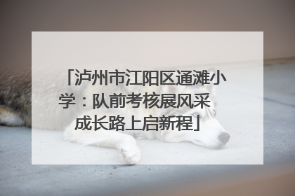 泸州市江阳区通滩小学：队前考核展风采 成长路上启新程