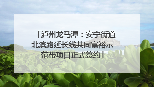 泸州龙马潭：安宁街道北滨路延长线共同富裕示范带项目正式签约