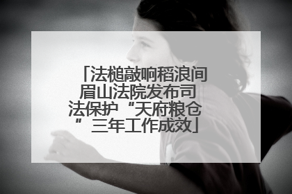 法槌敲响稻浪间 眉山法院发布司法保护“天府粮仓”三年工作成效