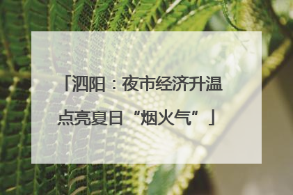 泗阳：夜市经济升温 点亮夏日“烟火气”