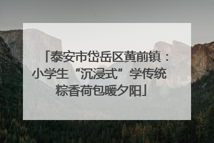 泰安市岱岳区黄前镇：小学生“沉浸式”学传统 粽香荷包暖夕阳