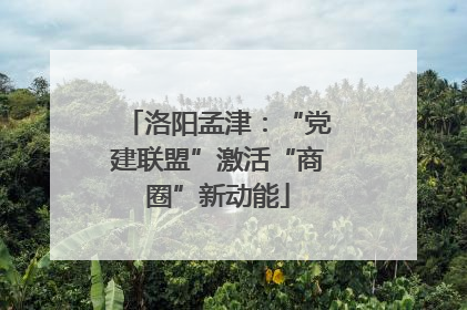 洛阳孟津：“党建联盟”激活“商圈”新动能