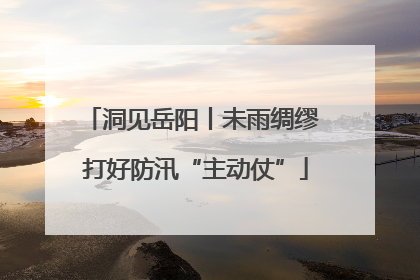 洞见岳阳丨未雨绸缪 打好防汛“主动仗”