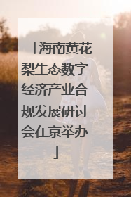 海南黄花梨生态数字经济产业合规发展研讨会在京举办