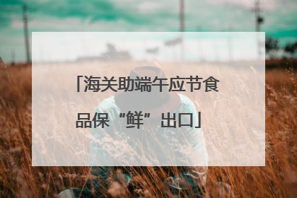 海关助端午应节食品保“鲜”出口