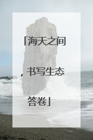 海天之间，书写生态答卷