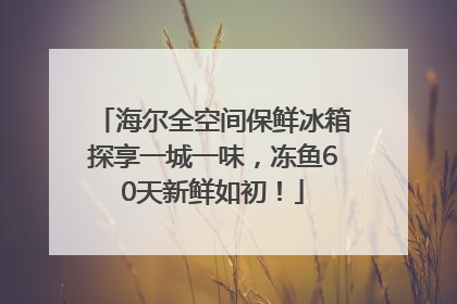 海尔全空间保鲜冰箱探享一城一味，冻鱼60天新鲜如初！