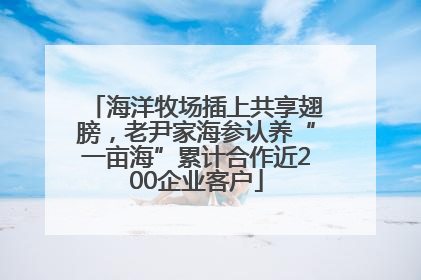 海洋牧场插上共享翅膀，老尹家海参认养“一亩海”累计合作近200企业客户