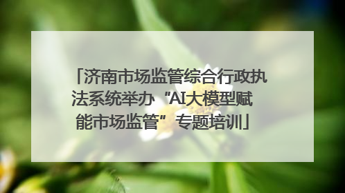 济南市场监管综合行政执法系统举办“AI大模型赋能市场监管”专题培训