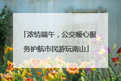 浓情端午，公交暖心服务护航市民游玩南山