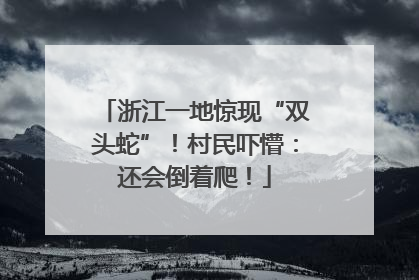 浙江一地惊现“双头蛇”！村民吓懵：还会倒着爬！