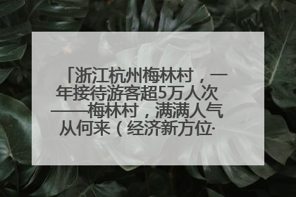 浙江杭州梅林村，一年接待游客超5万人次——梅林村，满满人气从何来（经济新方位·农村消费观察）