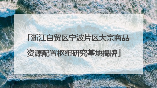 浙江自贸区宁波片区大宗商品资源配置枢纽研究基地揭牌