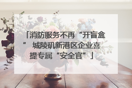 消防服务不再“开盲盒” 城陵矶新港区企业喜提专属“安全官”