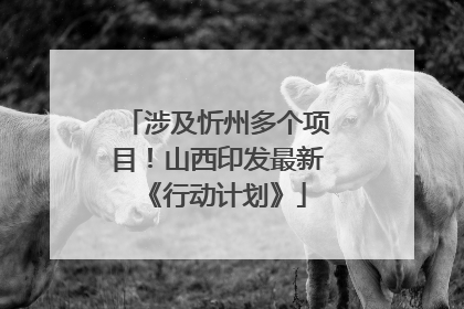 涉及忻州多个项目！山西印发最新《行动计划》
