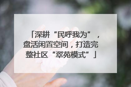 深耕“民呼我为”，盘活闲置空间，打造完整社区“翠苑模式”
