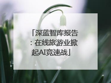 深蓝智库报告：在线旅游业掀起AI竞速战