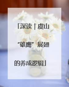 深读｜虞山“雄鹰”展翅的养成逻辑