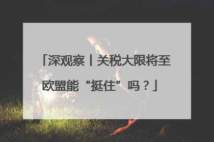深观察丨关税大限将至欧盟能“挺住”吗？