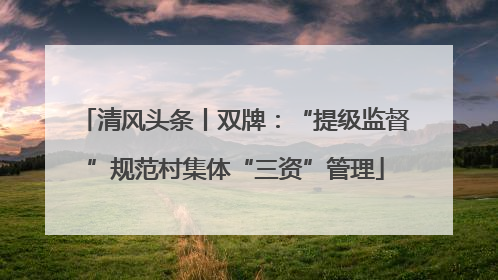 清风头条丨双牌：“提级监督”规范村集体“三资”管理