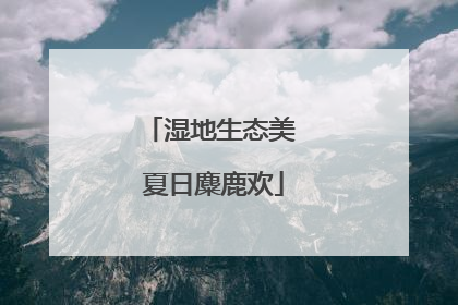湿地生态美 夏日麋鹿欢