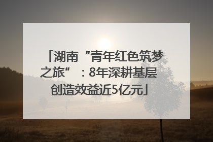 湖南“青年红色筑梦之旅”：8年深耕基层创造效益近5亿元