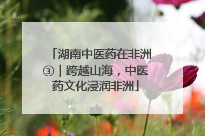 湖南中医药在非洲③｜跨越山海，中医药文化浸润非洲