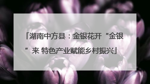 湖南中方县：金银花开“金银”来 特色产业赋能乡村振兴