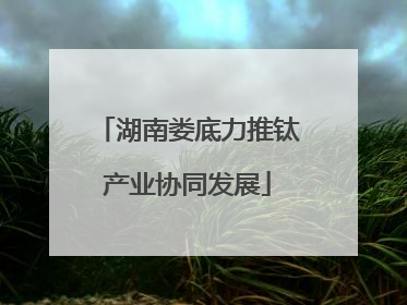 湖南娄底力推钛产业协同发展
