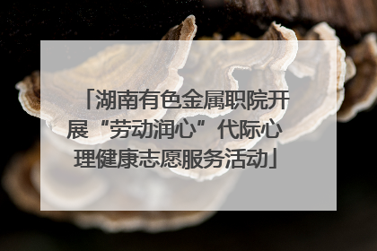 湖南有色金属职院开展“劳动润心”代际心理健康志愿服务活动