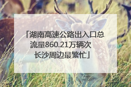 湖南高速公路出入口总流量860.21万辆次 长沙周边最繁忙