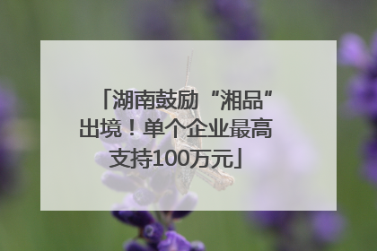 湖南鼓励“湘品”出境！单个企业最高支持100万元