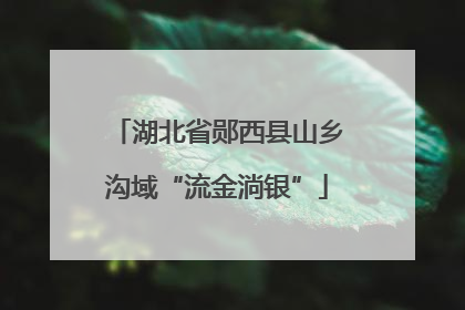 湖北省郧西县山乡沟域“流金淌银”