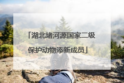 湖北堵河源国家二级保护动物添新成员