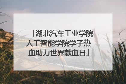 湖北汽车工业学院人工智能学院学子热血助力世界献血日
