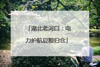 湖北老河口：电力护航夏粮归仓