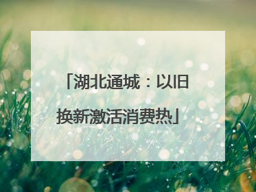 湖北通城：以旧换新激活消费热