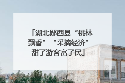 湖北郧西县“桃林飘香”“采摘经济”甜了游客富了民