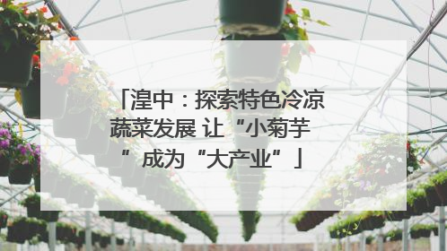 湟中：探索特色冷凉蔬菜发展 让“小菊芋”成为“大产业”