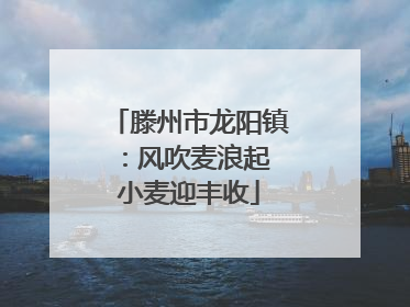 滕州市龙阳镇：风吹麦浪起 小麦迎丰收