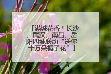 满城花香！长沙、武汉、南昌、岳阳四城联动“送你十万朵栀子花”