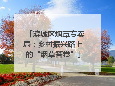 滨城区烟草专卖局：乡村振兴路上的“烟草答卷”