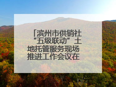 滨州市供销社“五级联动”土地托管服务现场推进工作会议在无棣县举办
