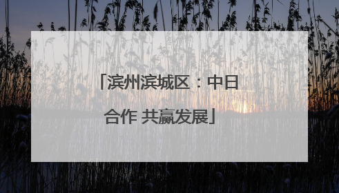 滨州滨城区：中日合作 共赢发展