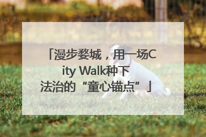 漫步婺城，用一场City Walk种下法治的“童心锚点”