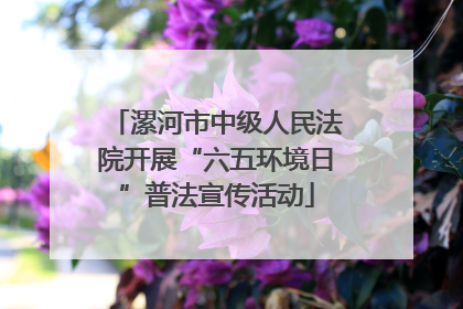 漯河市中级人民法院开展“六五环境日”普法宣传活动