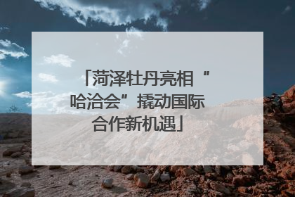 菏泽牡丹亮相“哈洽会”撬动国际合作新机遇