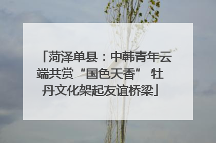 菏泽单县：中韩青年云端共赏“国色天香” 牡丹文化架起友谊桥梁