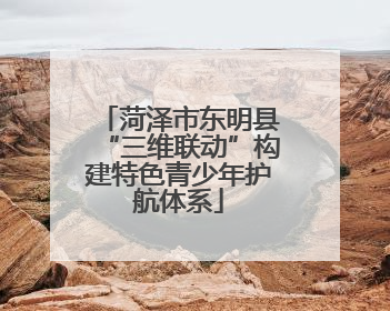 菏泽市东明县“三维联动”构建特色青少年护航体系